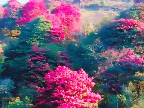 Chhintapu Trek Itinerary