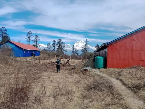 Mohare Danda Trek