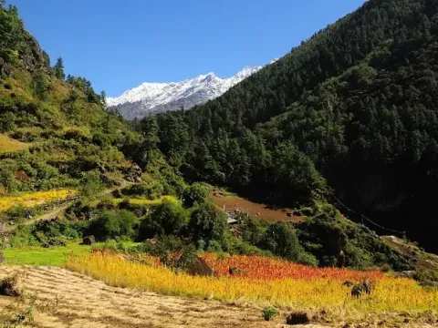 Tsum Valley Trekking