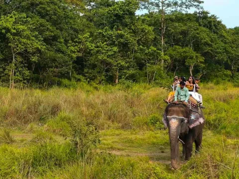 Chitwan Jungle Safari Tour