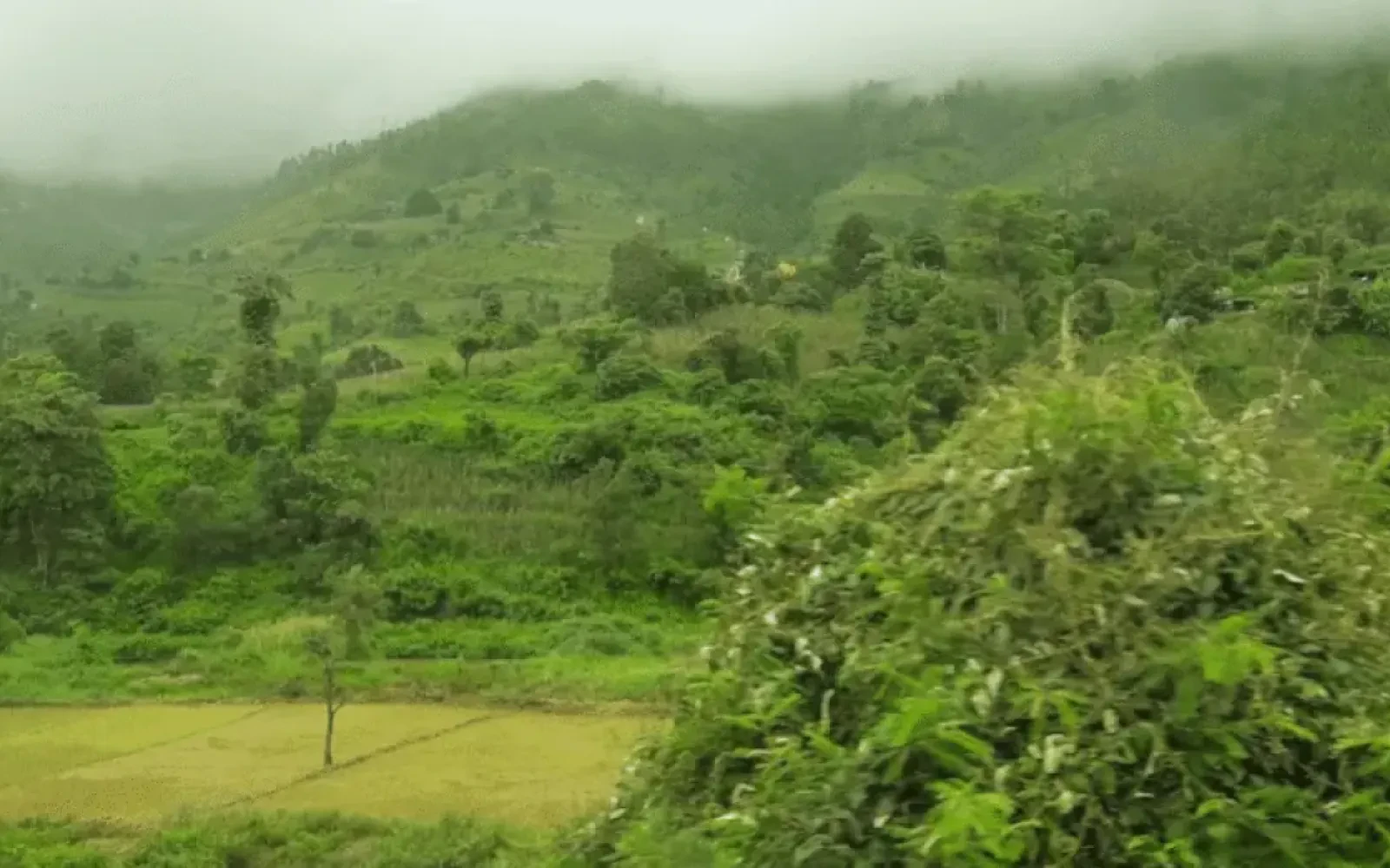 Chepang Hill Trek