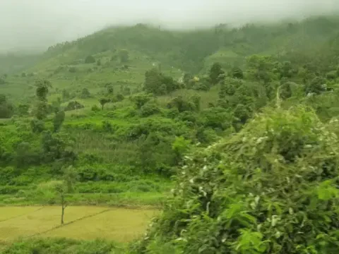 Chepang Hill Trek