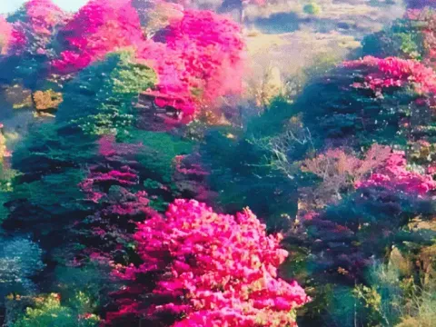 Chhintapu Trek Itinerary