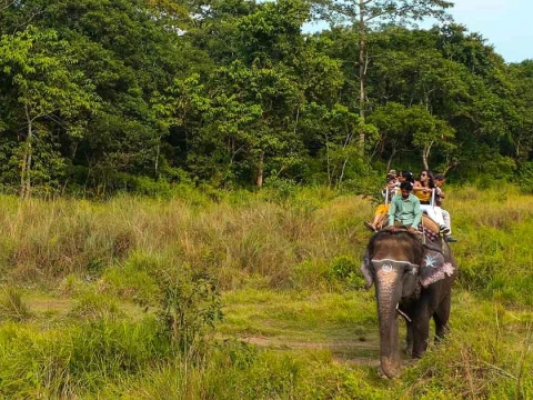 Chitwan Jungle Safari Tour