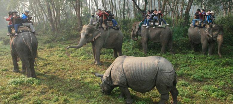  safari tour in nepal